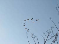 /international/2006Walvisbay/images/DrivingTheTrail/thumbnails/walvis3 116.jpg